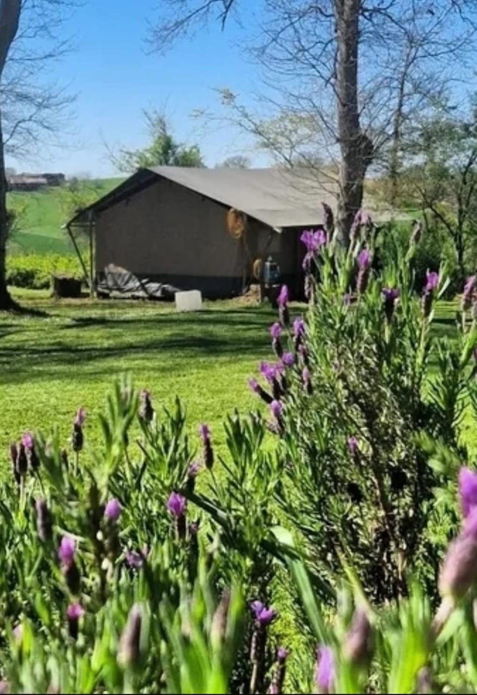 Property building, Natural landscape, Garden view