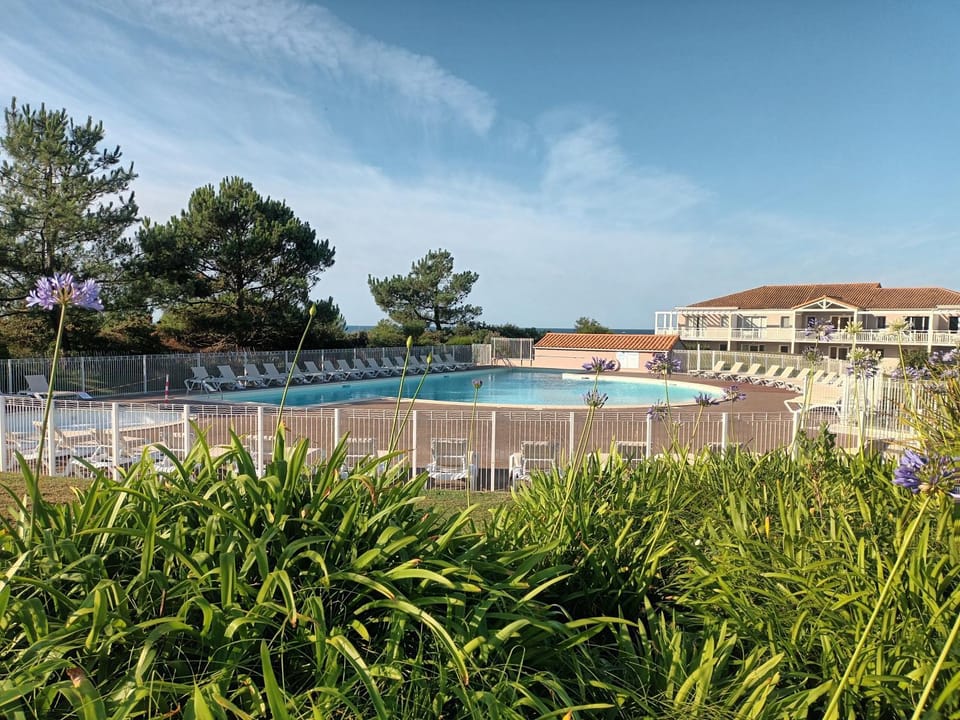 Pool view