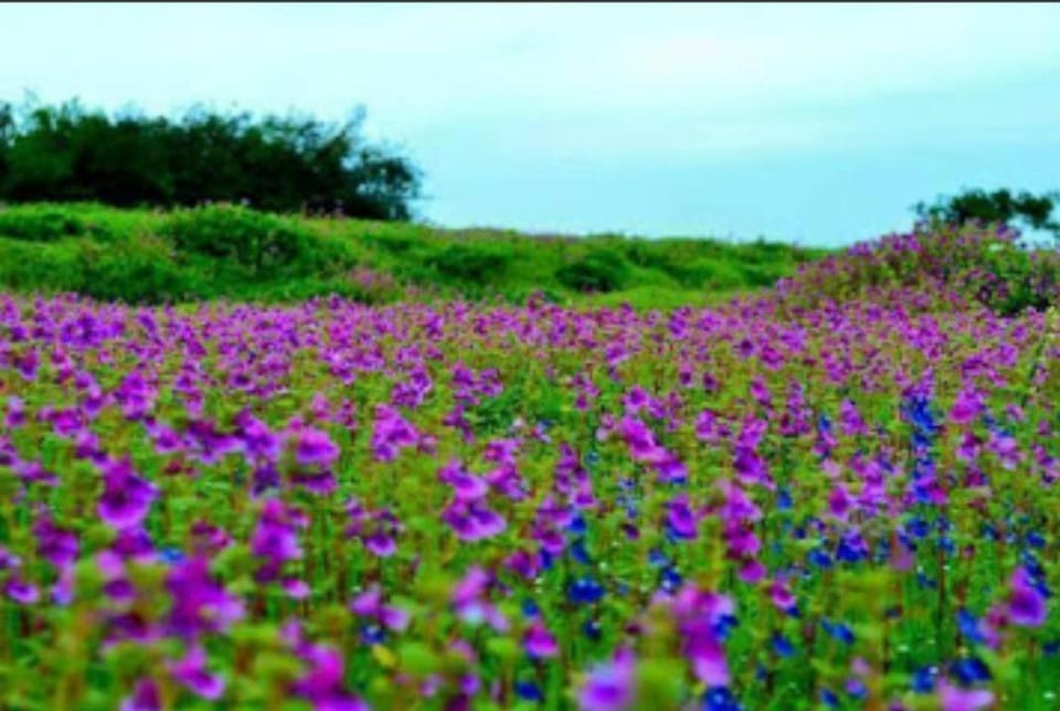 Natural landscape