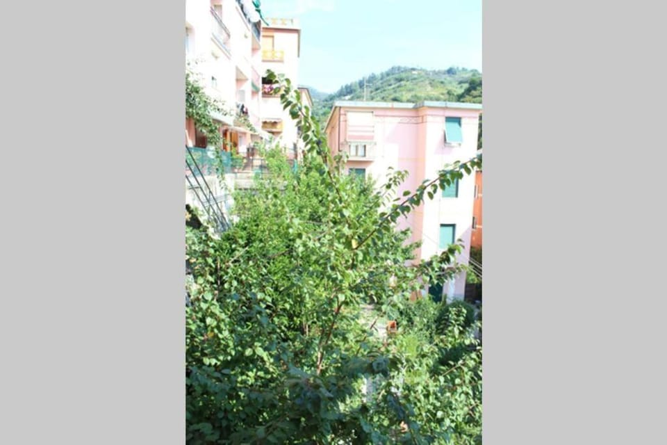 Ca Du Rocco - CITRA 011019-LT-0343 Apartment in Monterosso al Mare