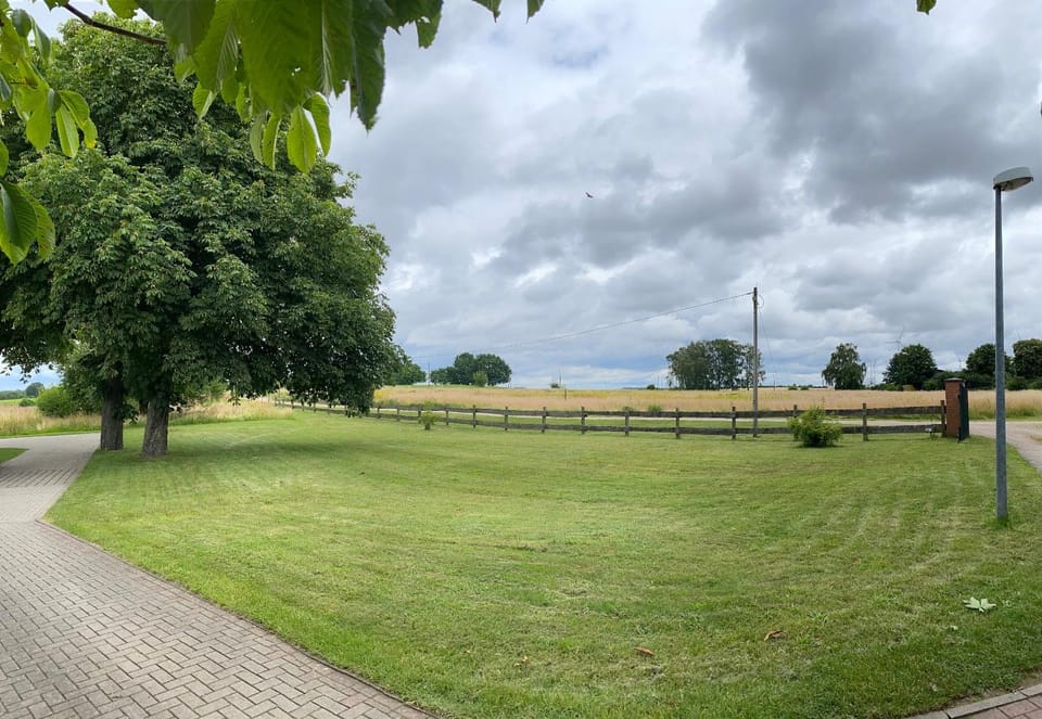 Natural landscape, Garden view