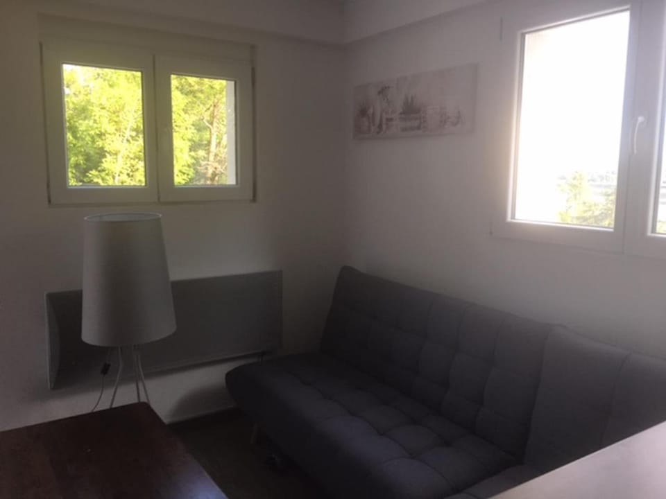 Les Glycines Apartment in Nouvelle-Aquitaine