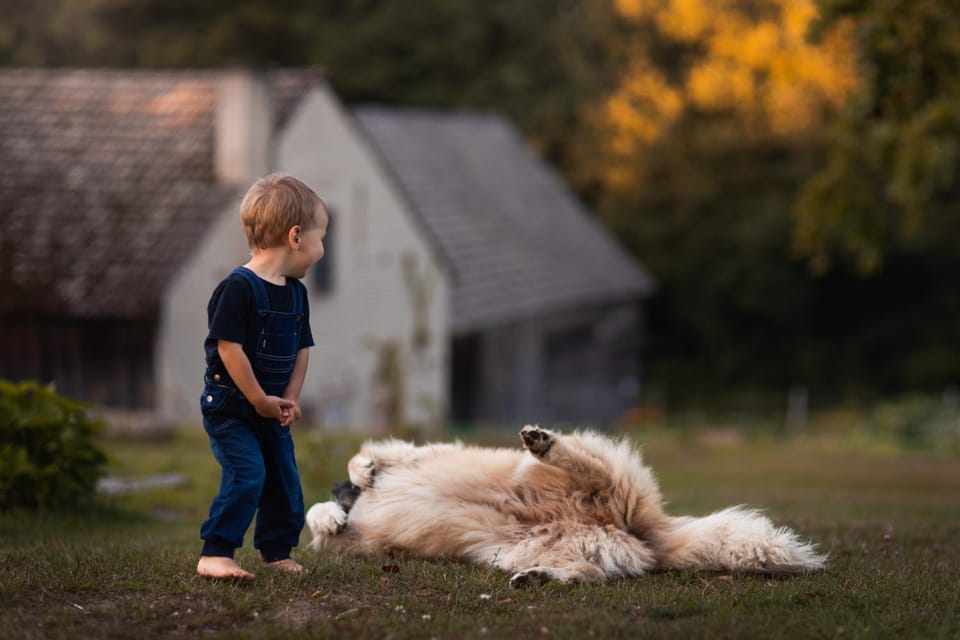 Pets, children