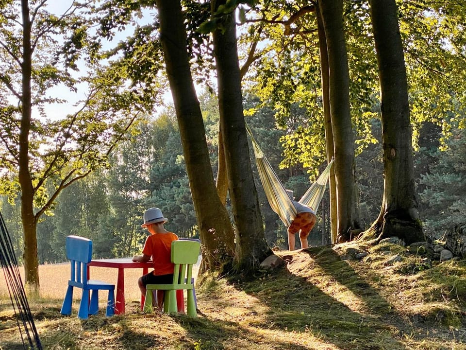 Day, Natural landscape, Children play ground, Garden, Garden, Garden view, children