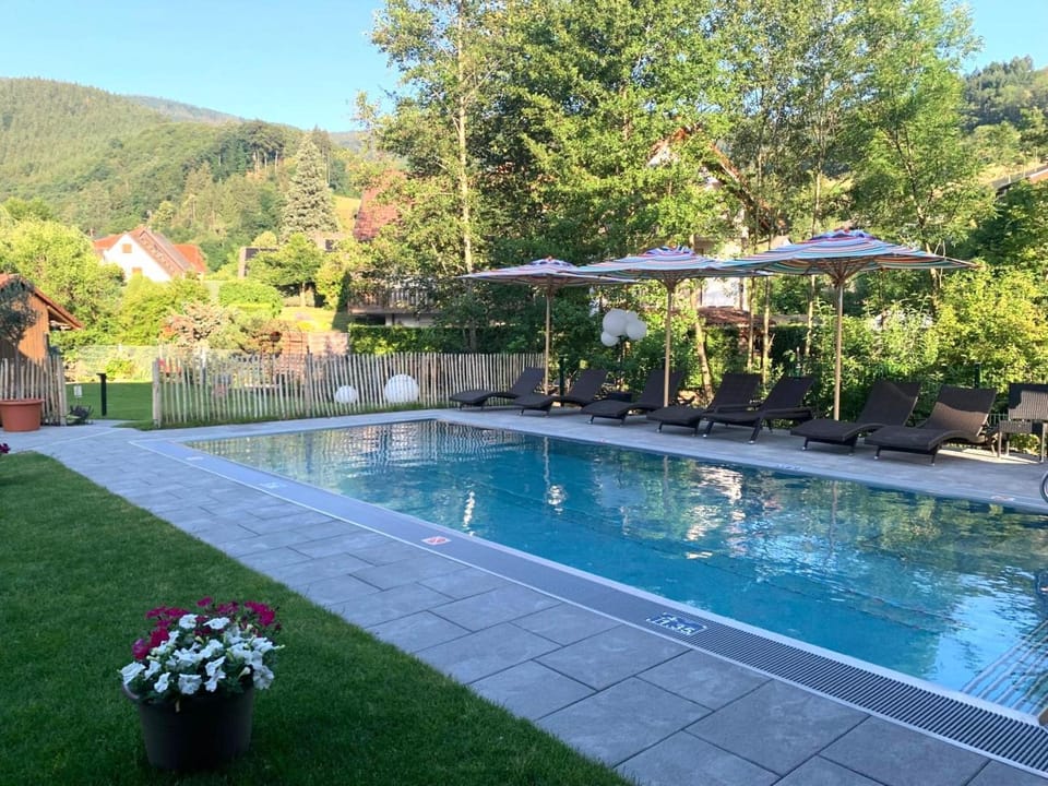 Pool view, Swimming pool, sunbed