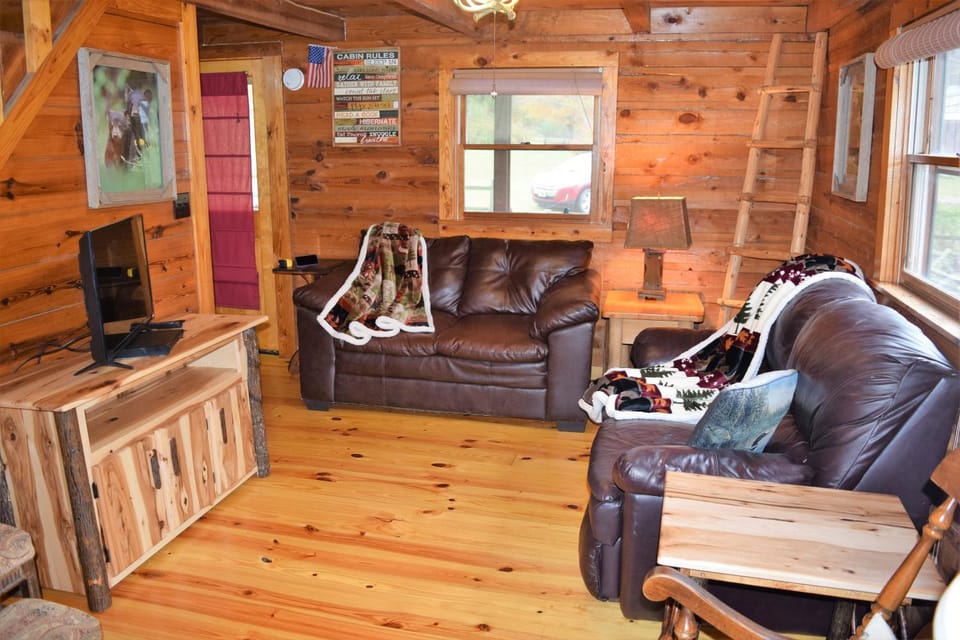 River Dreaming Chalet in Sevier County