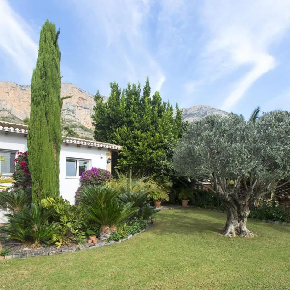 Villa Flores Villa in Marina Alta