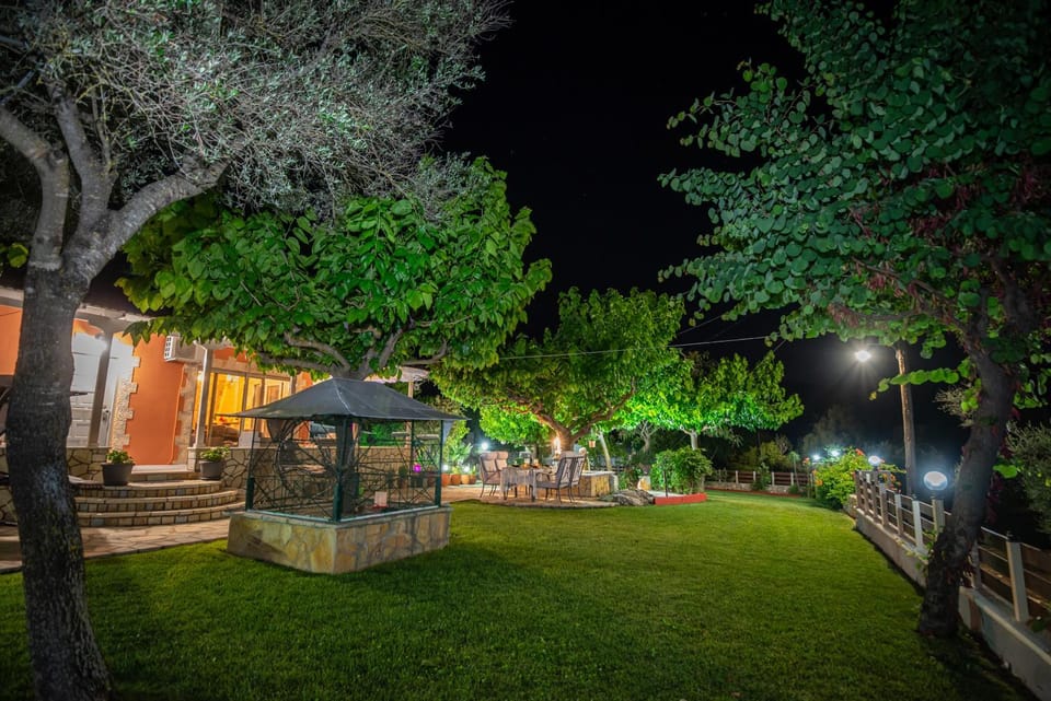 Night, Garden view