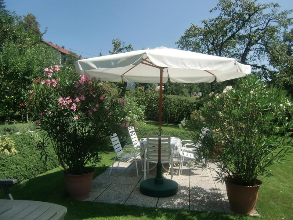 Patio, Garden, Garden