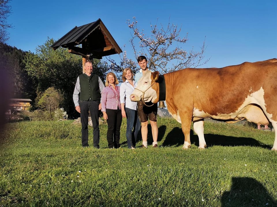 Garden, Animals, Pets, Family
