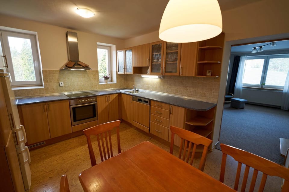 Vila U Parku Apartment in Lower Silesian Voivodeship