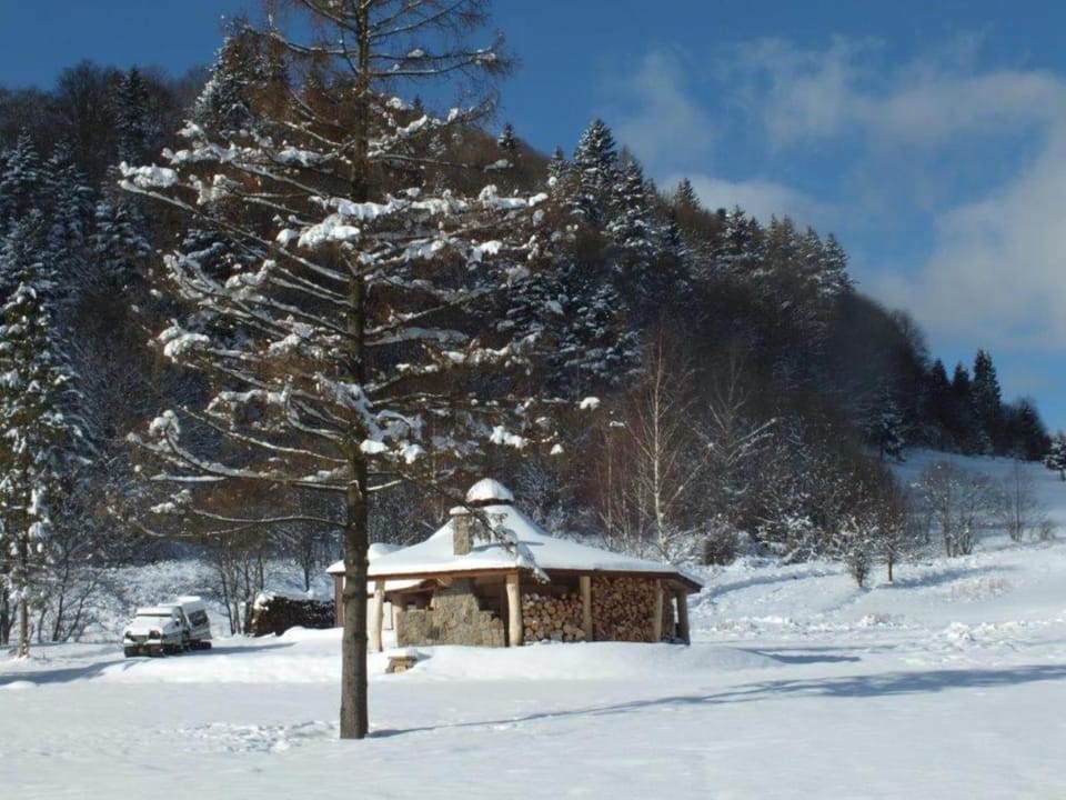 Natural landscape, Winter