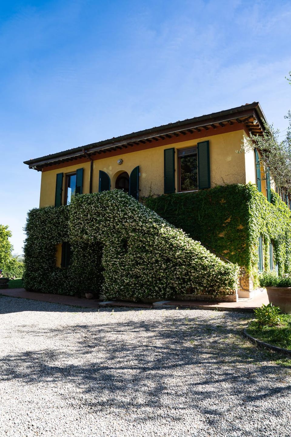 Property building, Garden, Garden view