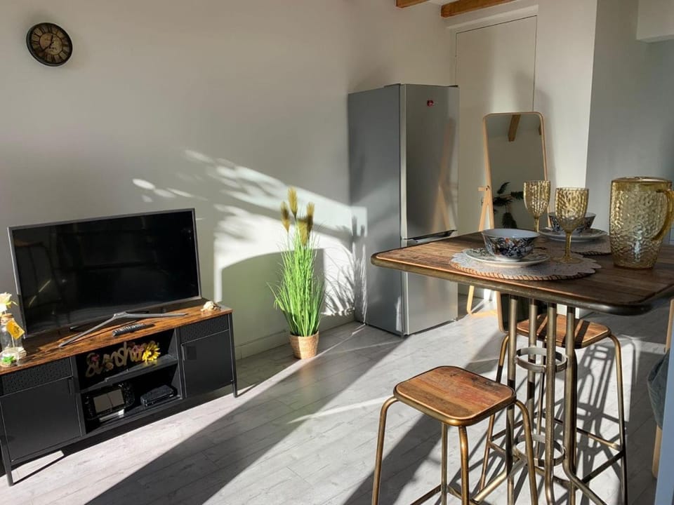Queens Romantic Beachhouse Apartment in Zandvoort