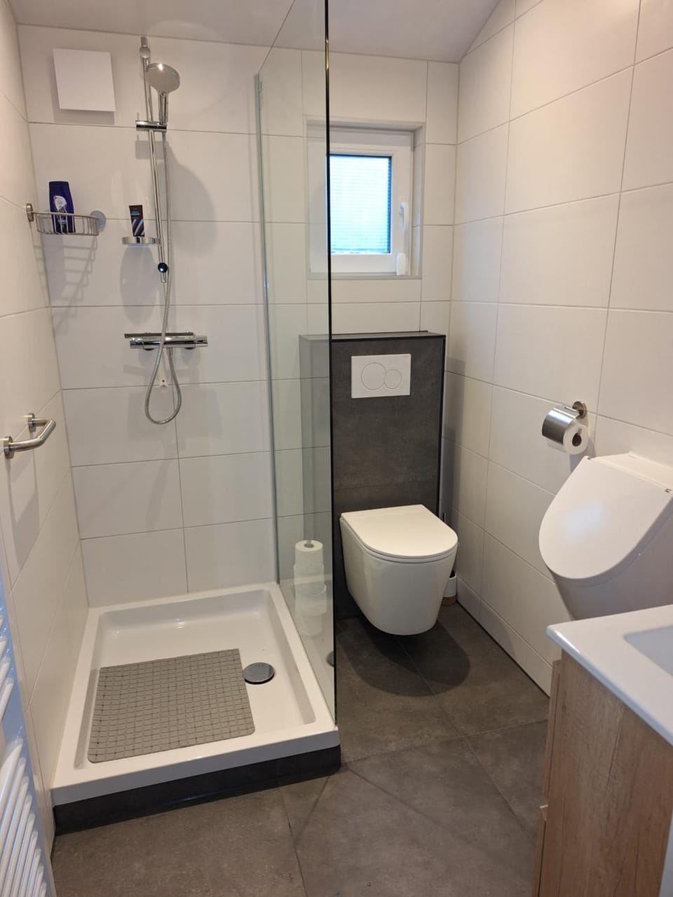 Toilet, Bathroom