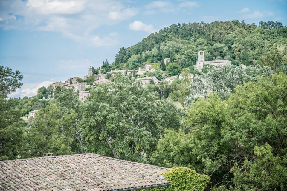 Château Emile Loubet - appartement Maréchal Lyautey Apartment in Provence