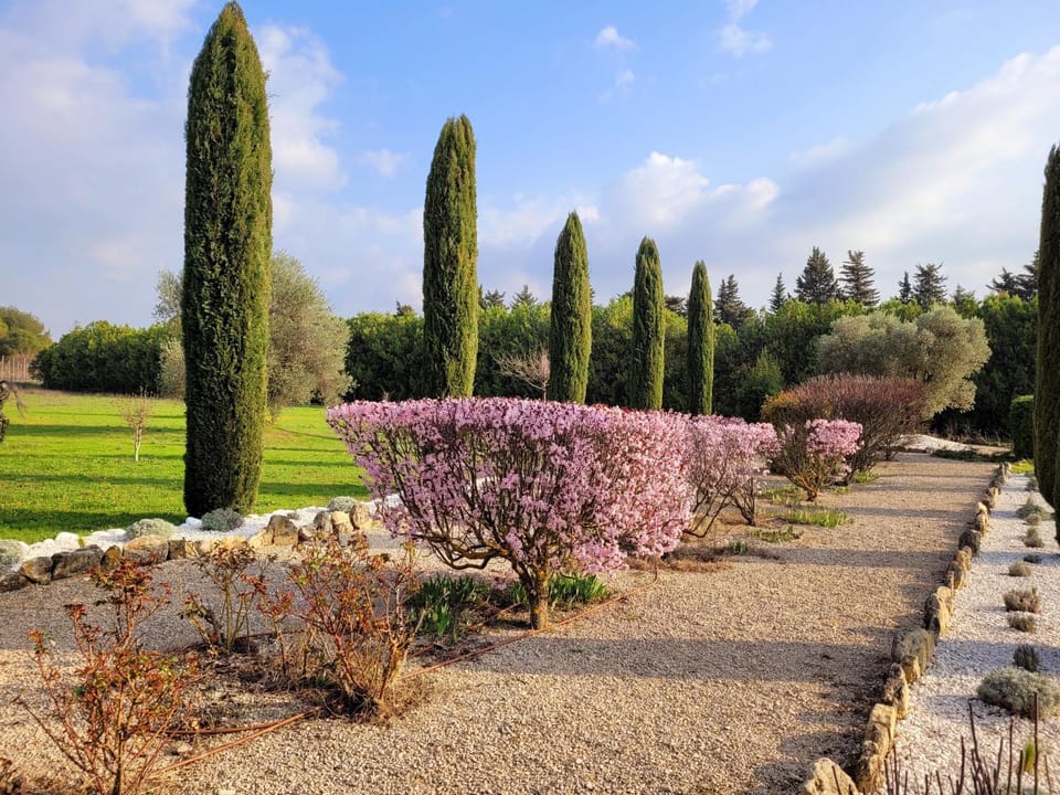 Mas La Pomarede Bed and Breakfast in Provence-Alpes-Côte d'Azur