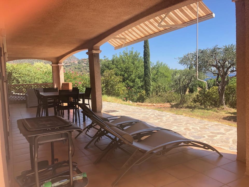 Patio, Garden, Balcony/Terrace