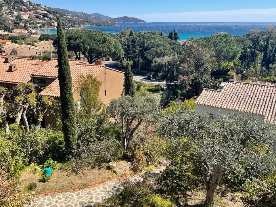 Garden, Garden, Sea view