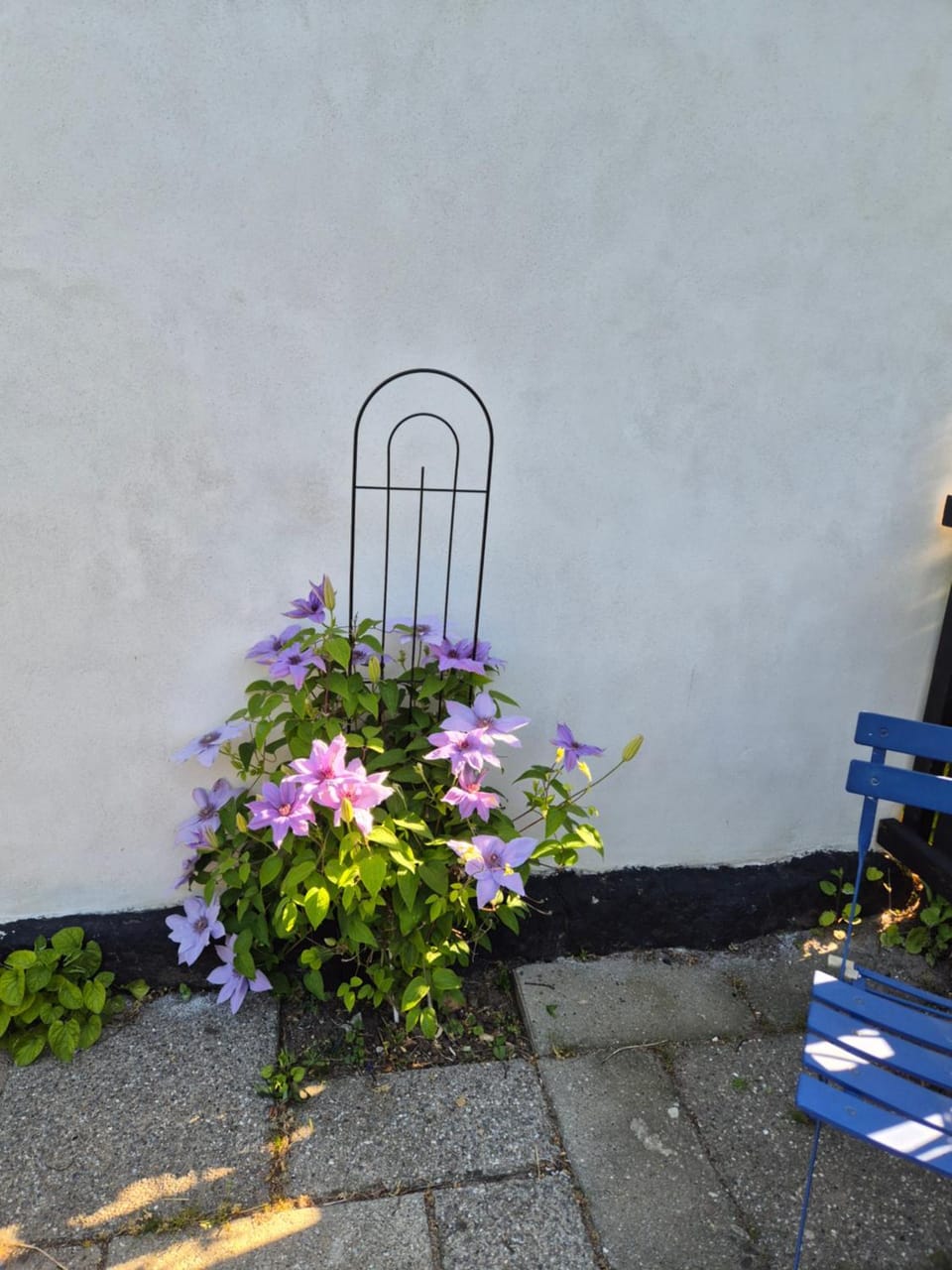 Patio, Balcony/Terrace