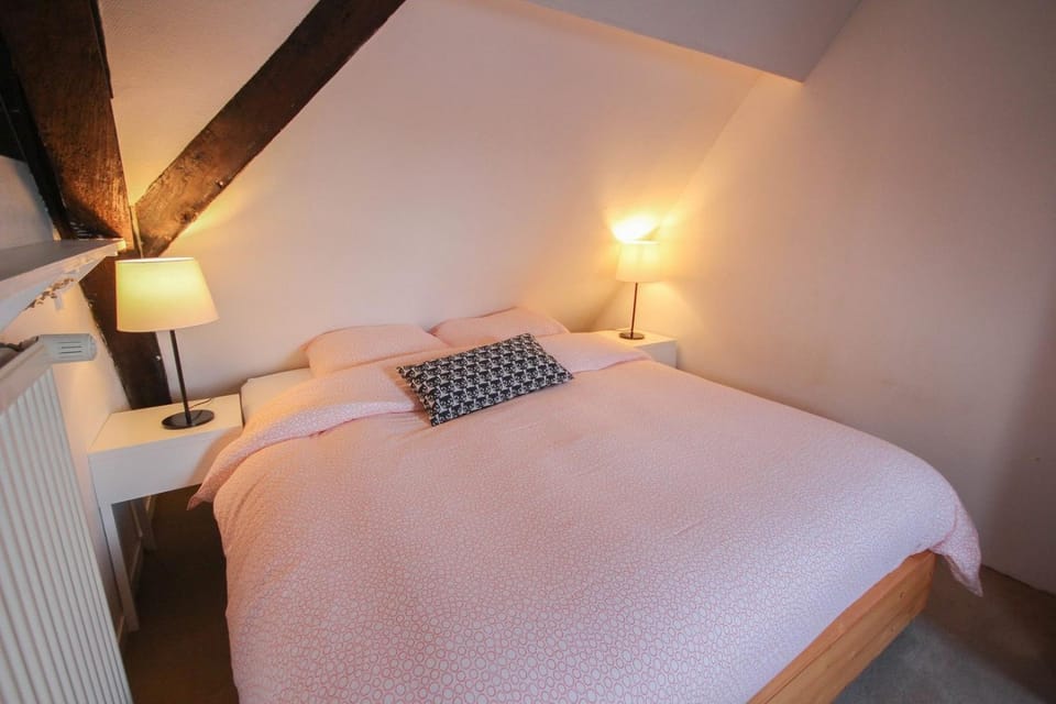 Charming 60m2 apartment Apartment in Lille
