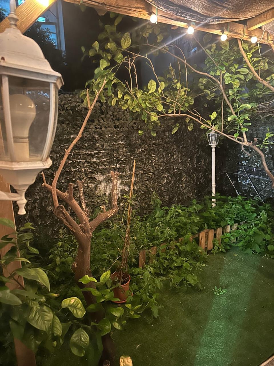 Il giardino segreto Apartment in Province of Taranto