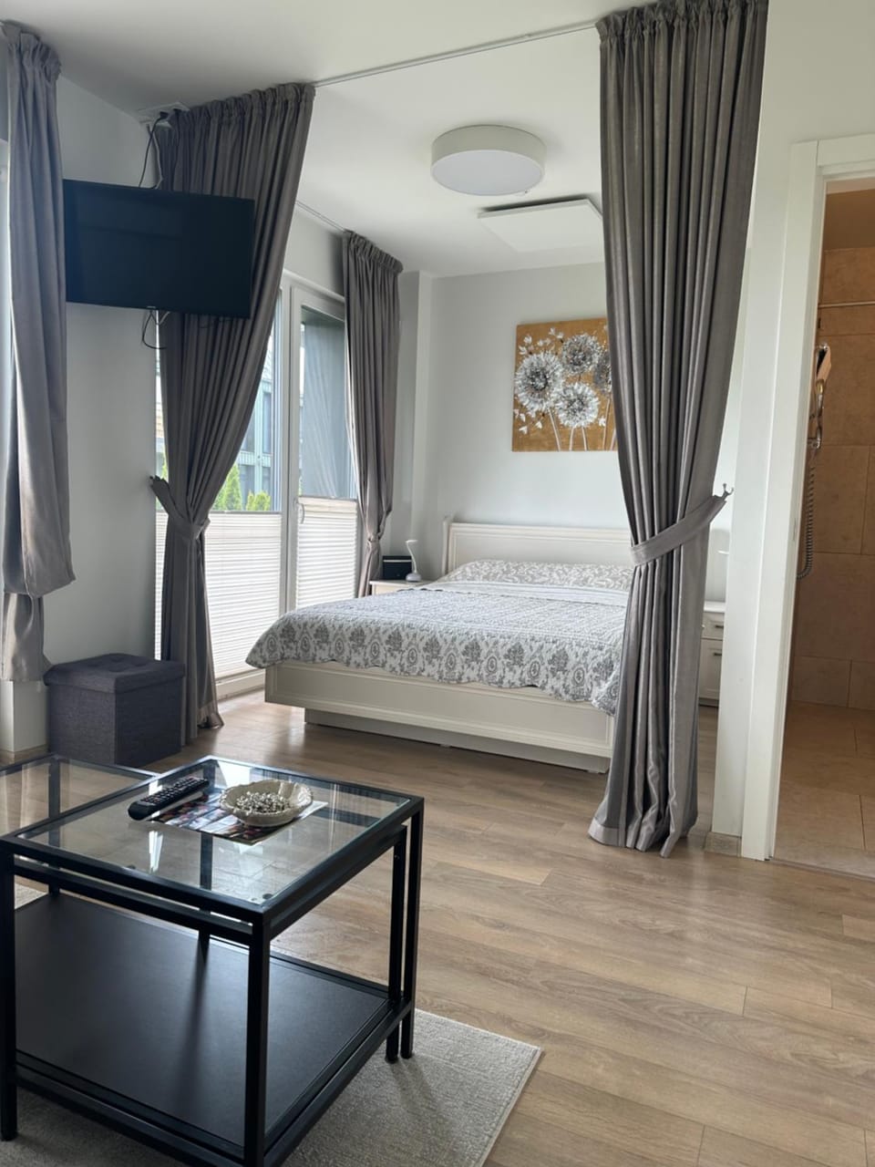 Family Studio VAIVORYKSTE Apartment in Palanga