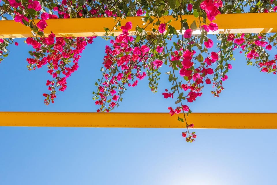 Balcony/Terrace, Balcony/Terrace