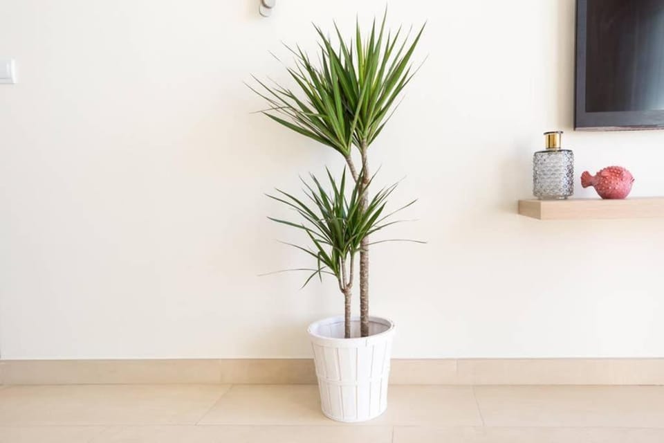 TGH/ Malagueta paradise Apartment in Malaga