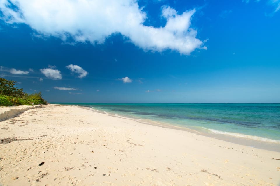 Natural landscape, Beach, Hiking