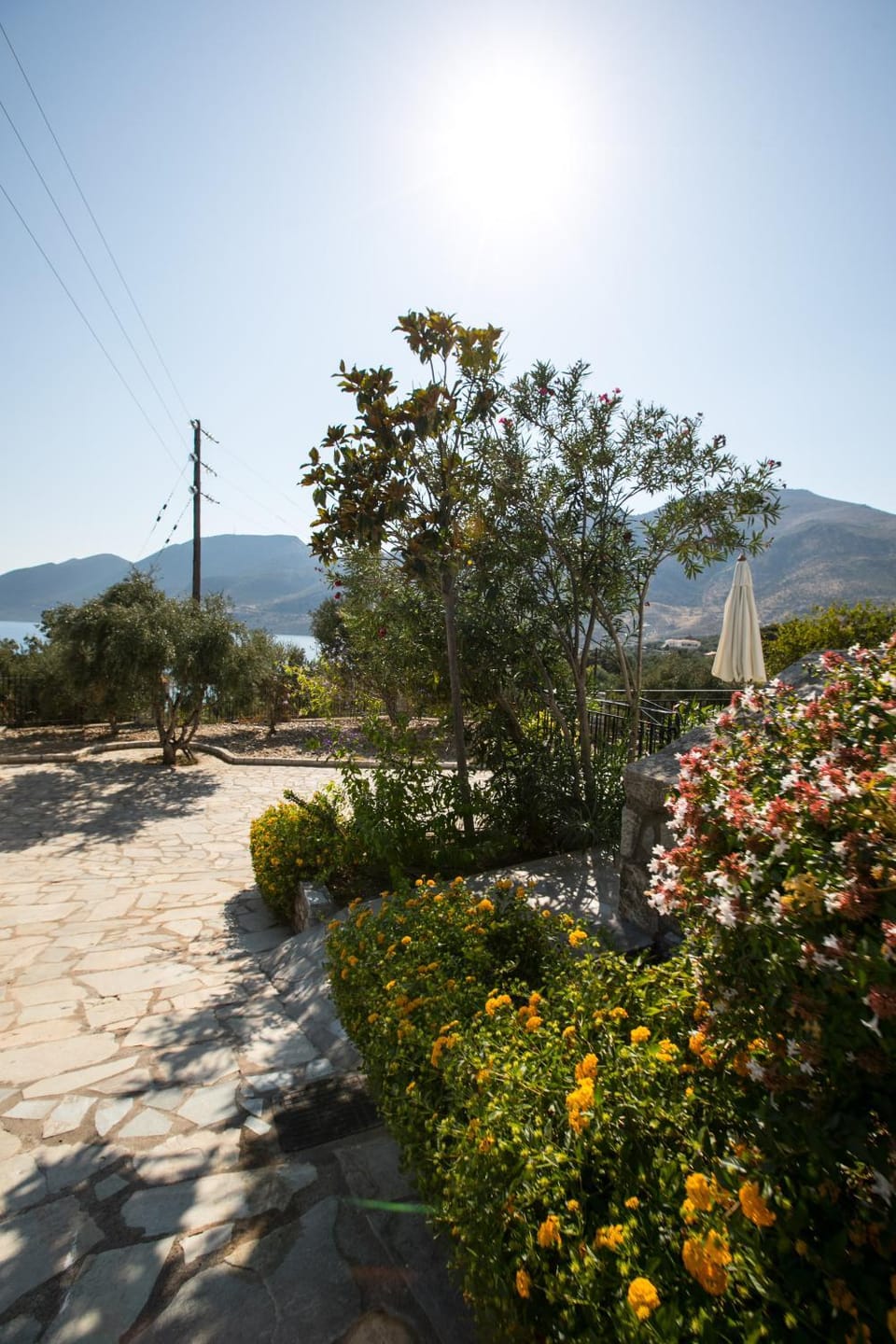Property building, Garden