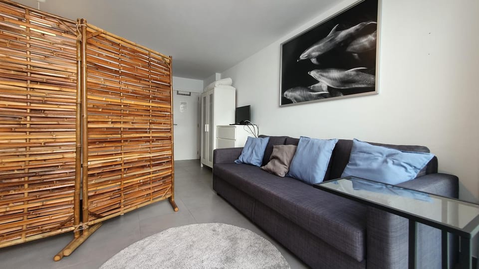 Beautiful Studio With Patio Carrapateira Apartment in Faro District