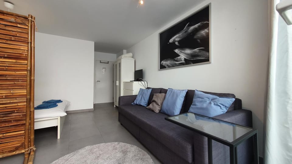 Beautiful Studio With Patio Carrapateira Apartment in Faro District