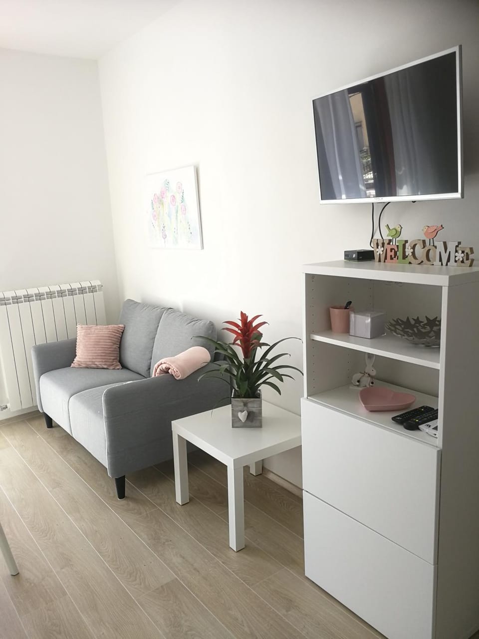 TV and multimedia, Living room