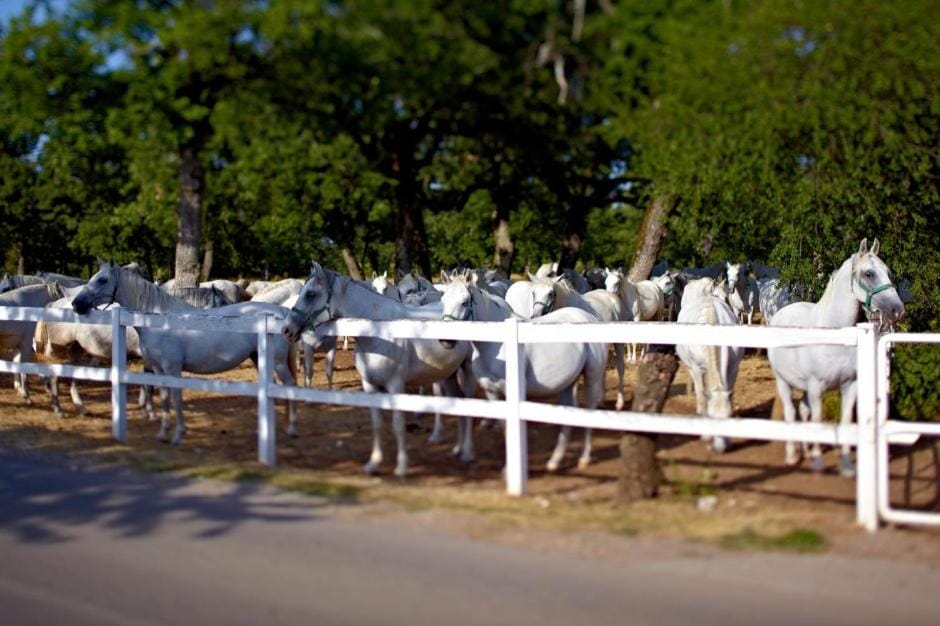 Nearby landmark, Natural landscape