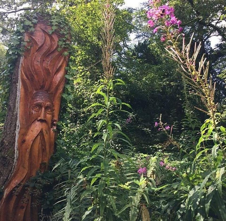 Self Catering - The Garden House House in Ireland