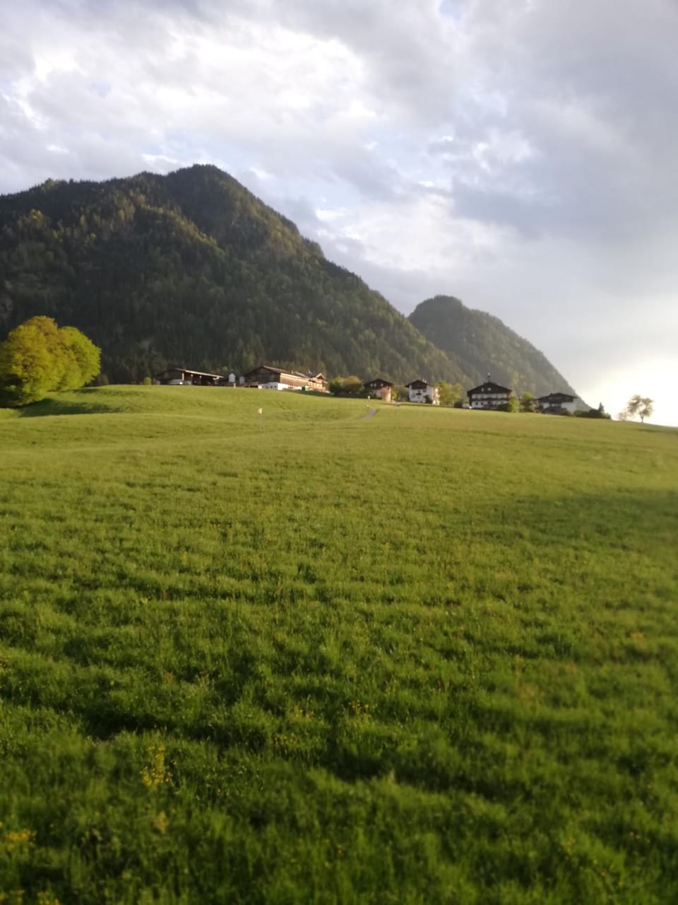 Natural landscape