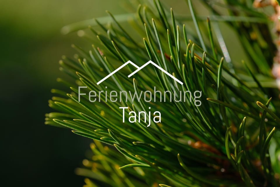 Logo/Certificate/Sign