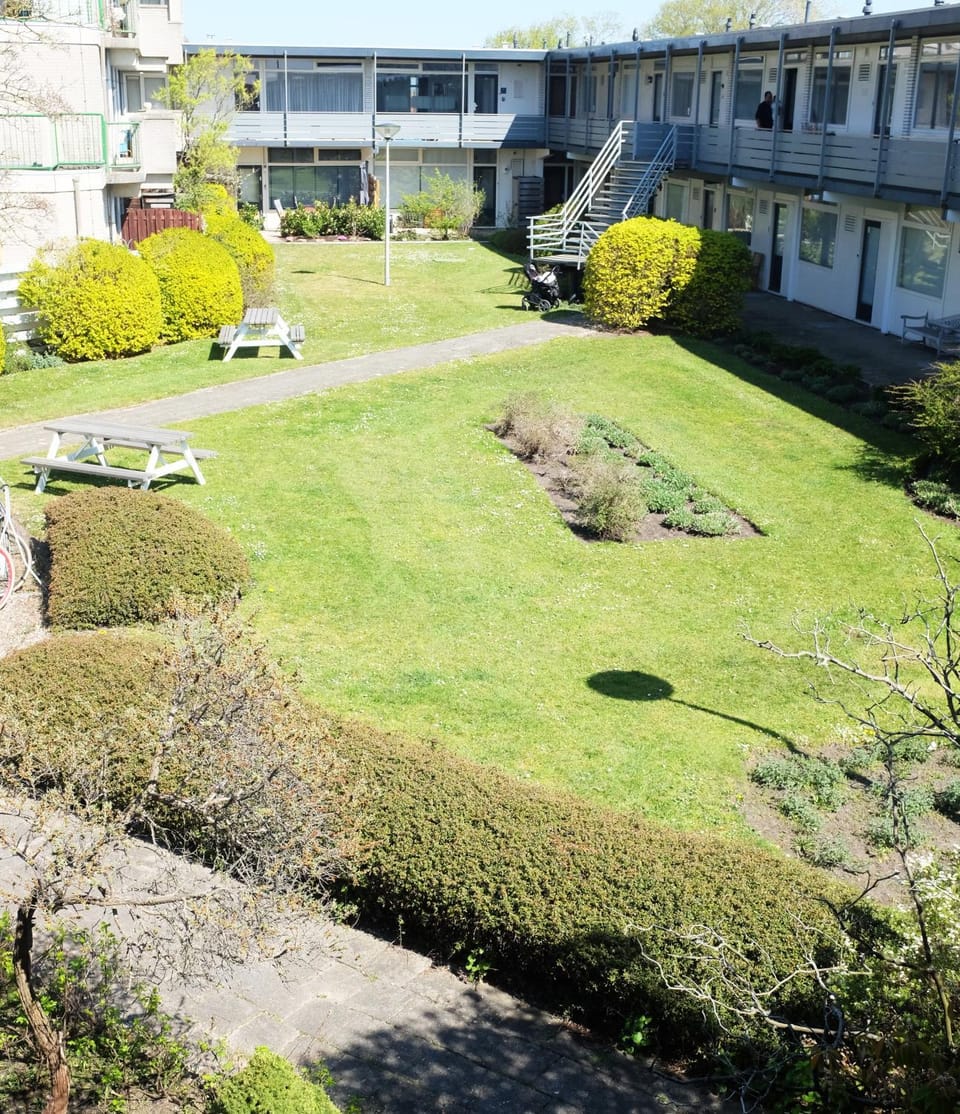 Garden, Garden view