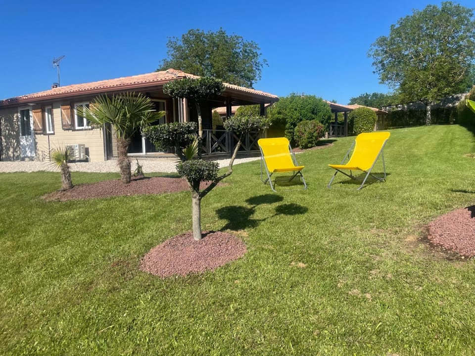 Garden, Garden view, sunbed