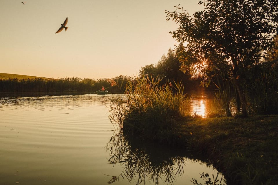 Natural landscape, Sunset