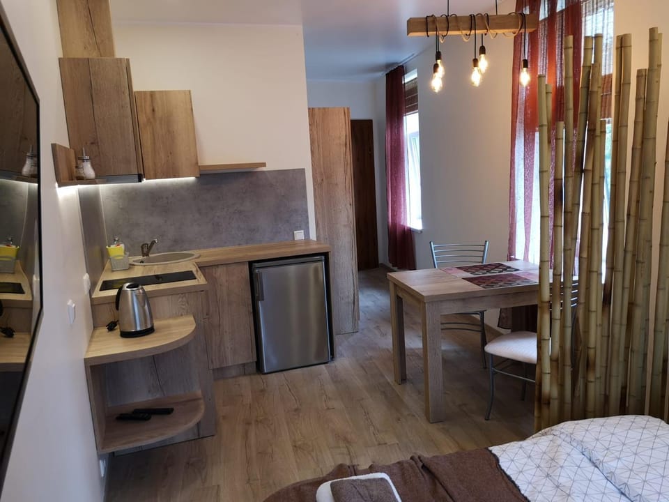 Villa Ventus Apartment in Latvia