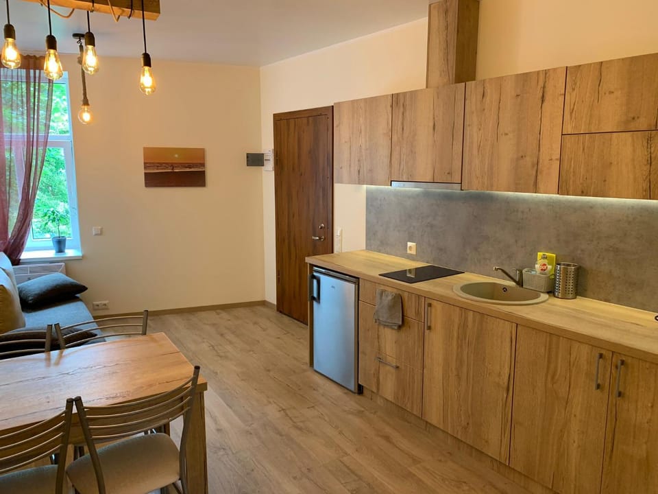 Villa Ventus Apartment in Latvia