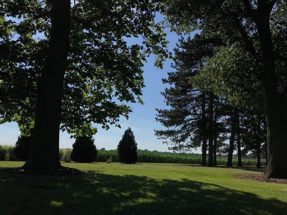 View (from property/room)