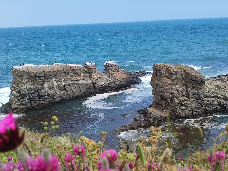 Къща за гости "Василеви" Синеморец Bed and Breakfast in Burgas Province