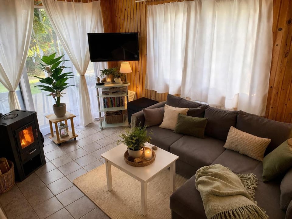 Living room, fireplace