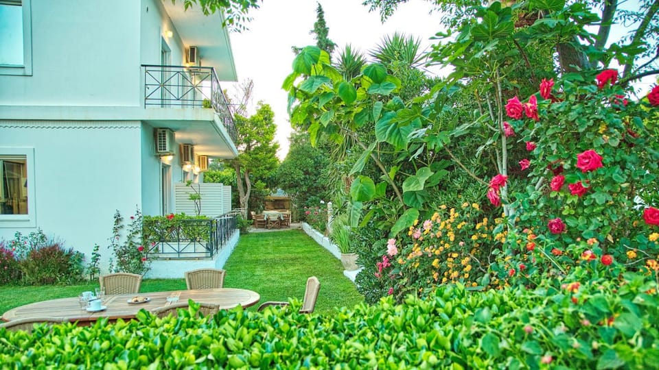 Property building, Garden, Garden view