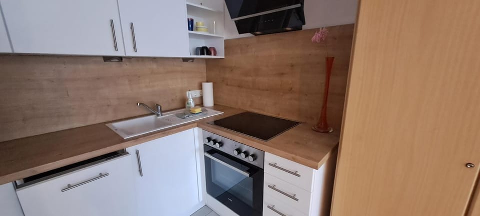 dishwasher, oven, stove, kitchen
