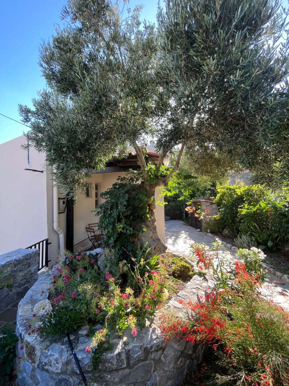 Natural landscape, Garden, Garden view