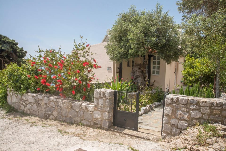 Property building, Natural landscape, Garden